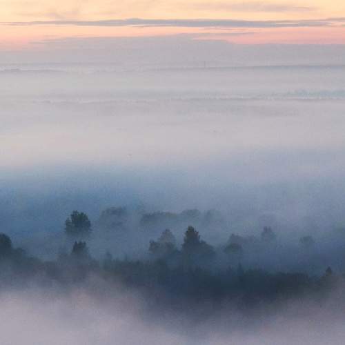 Photo #9189275