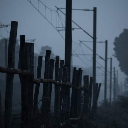 Photo #9189330