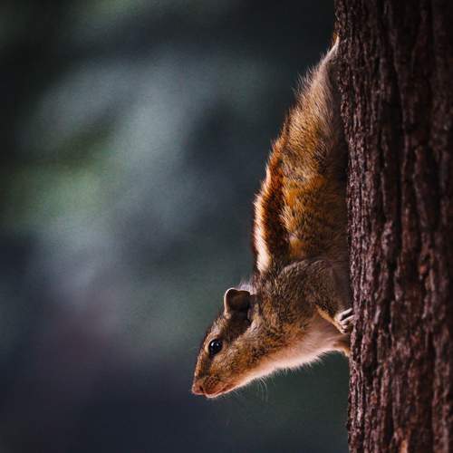Photo #9189486