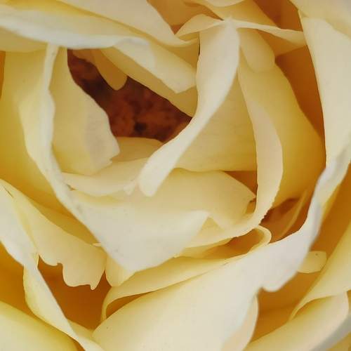 Photo #9189508