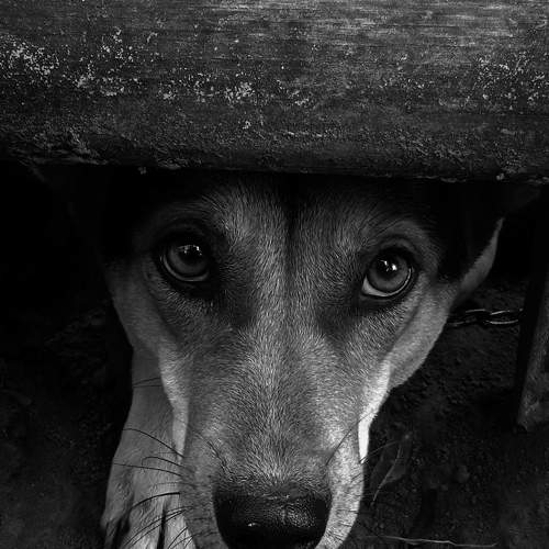 Photo #9189621