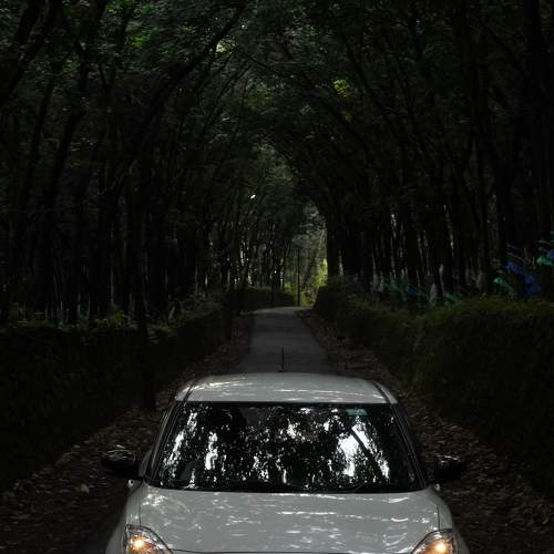Photo #9189834