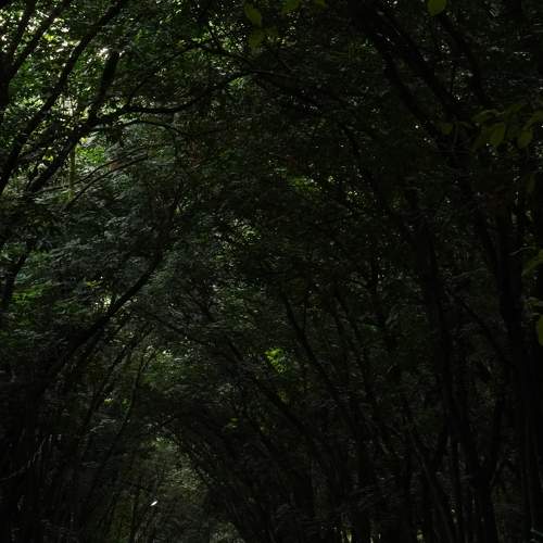 Photo #9189836