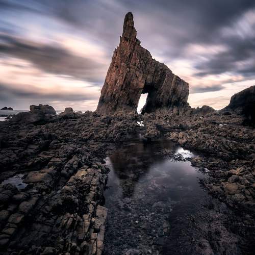 Photo #9189866