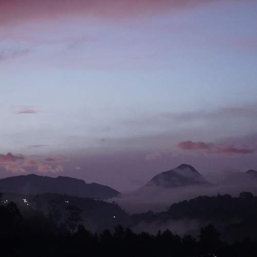 Photo #9189886