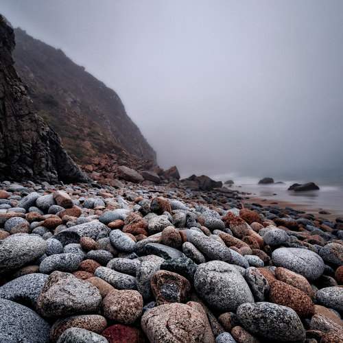 Photo #9189892