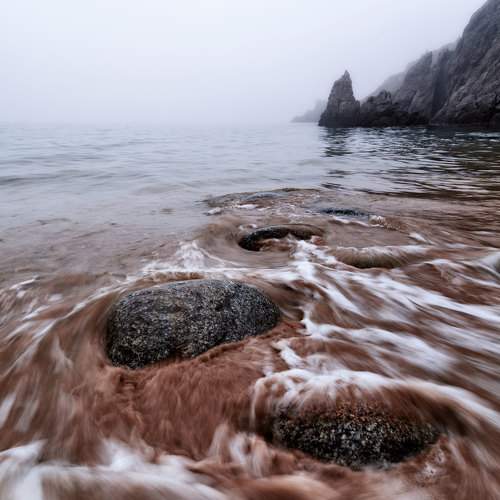 Photo #9189901