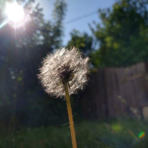 Photo #9190302