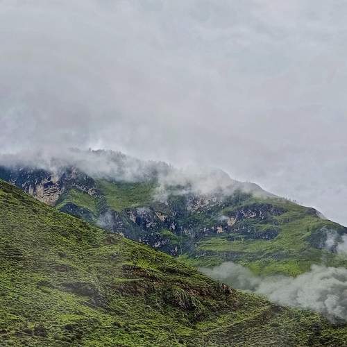 Photo #9190470