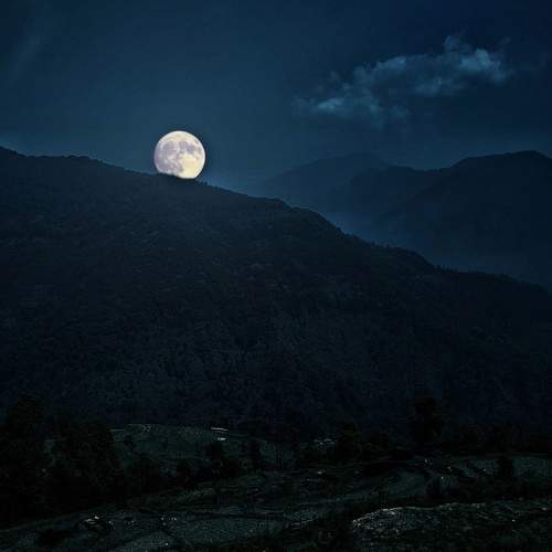 Photo #9190557