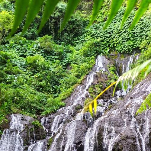 Photo #9190654