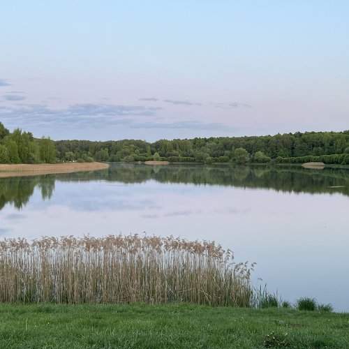 Photo #9190716