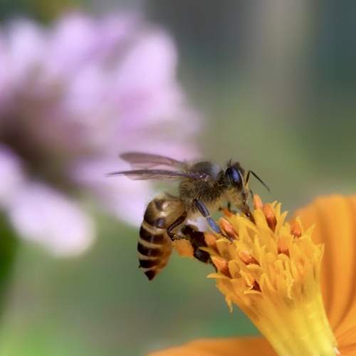 Photo #9190728