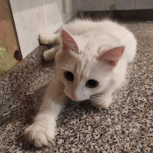 Photo #9190906