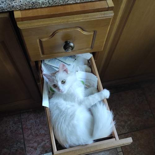 Photo #9190926