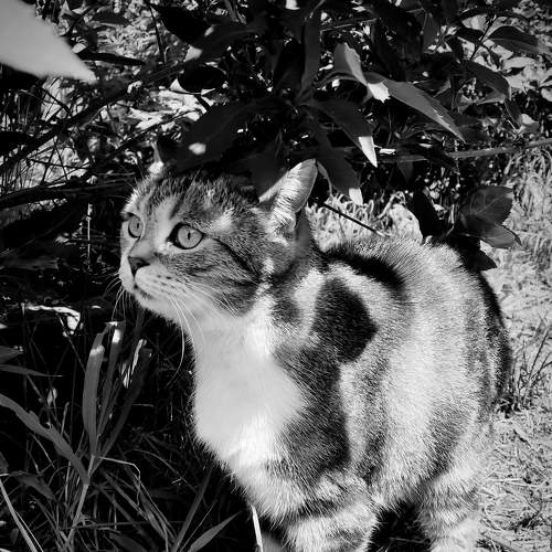 Photo #9190976