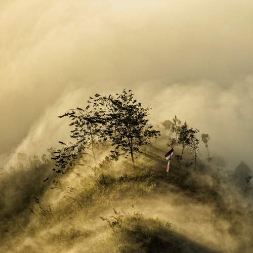 Photo #9191154
