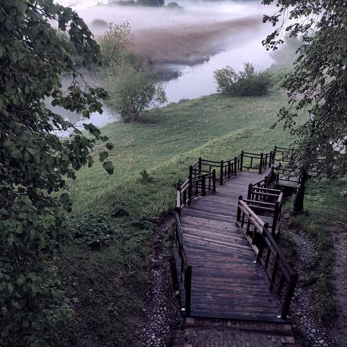Photo #9191270