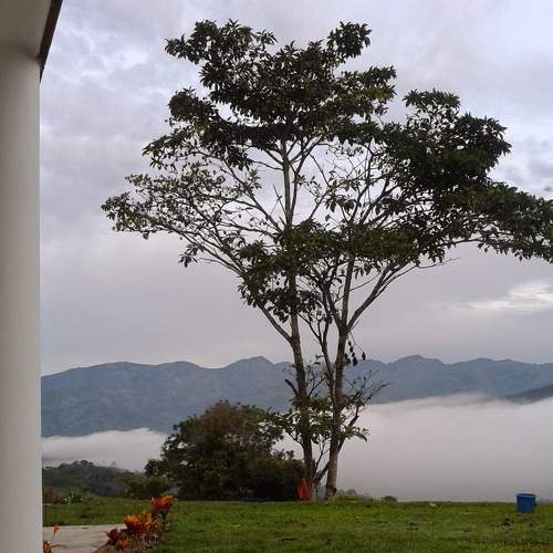 Photo #9191355