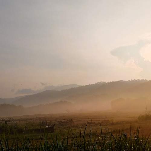 Morning drive