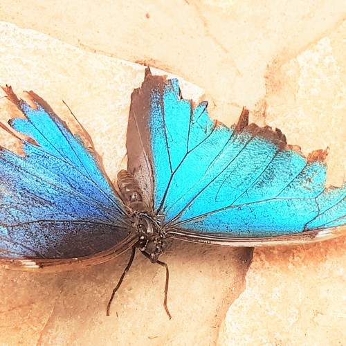 Photo #9191539