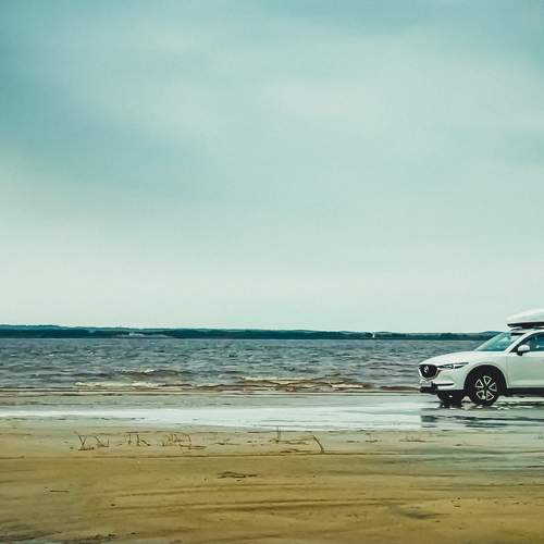 Photo #9191604