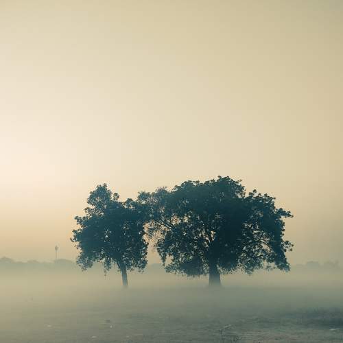 Photo #9191640