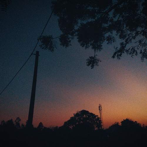 Photo #9191664