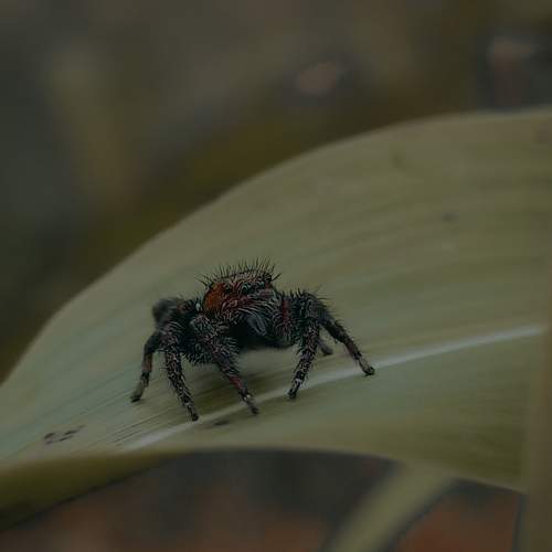 Photo #9191782