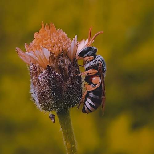 Photo #9191787