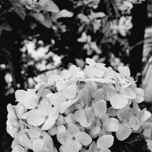 Photo #9191866