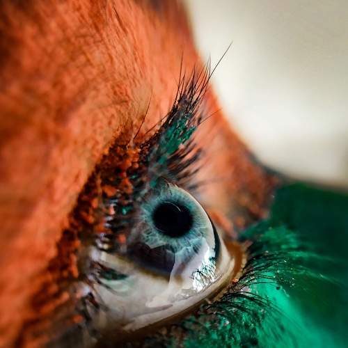 Photo #9191881