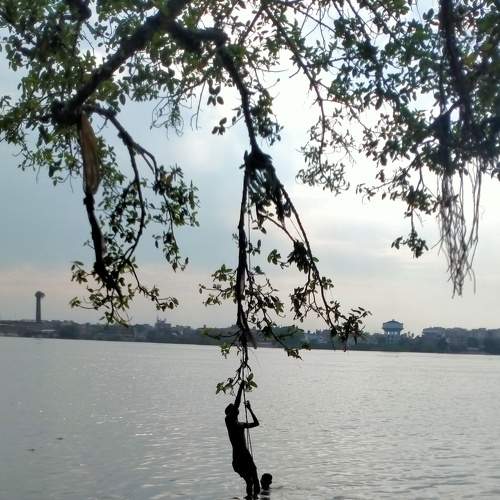 Photo #9192239