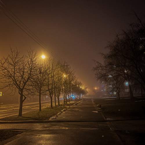 Photo #9192291