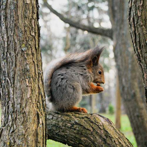 Photo #9192388