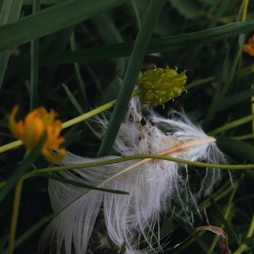 Photo #9192390