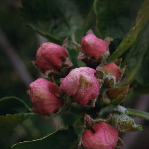 Photo #9192391