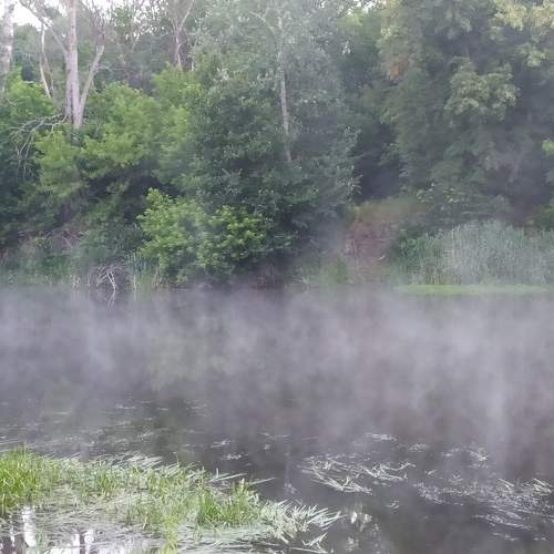 Photo #9192480