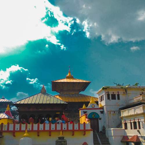 Photo #9192594