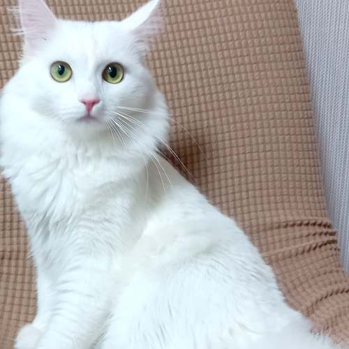 Photo #9192603