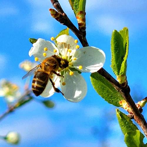 Photo #9192688