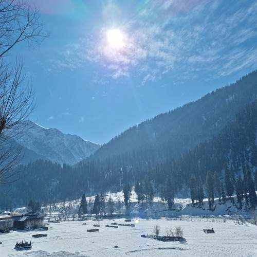 Photo #9192695