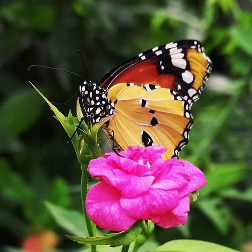Photo #9192697