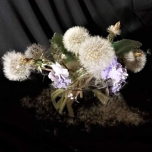 Photo #9192752