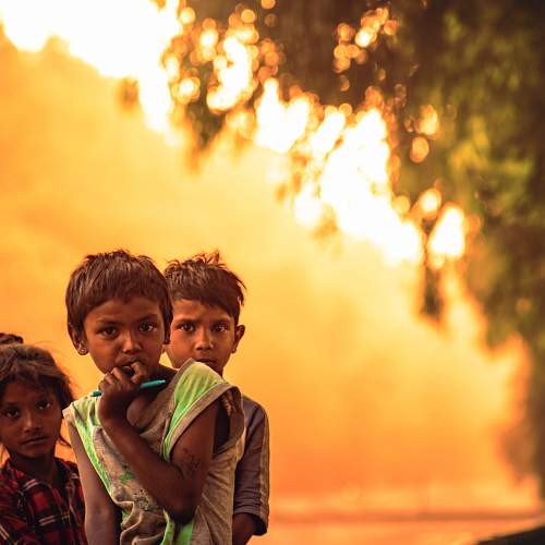 Photo #9192795