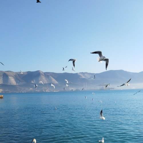 Photo #9193007
