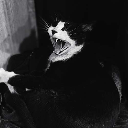 Photo #9193480