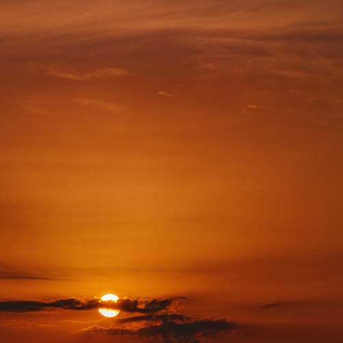 Photo #9193485