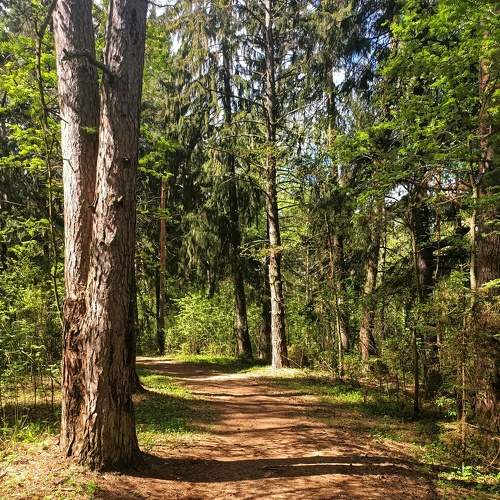 Photo #9193616