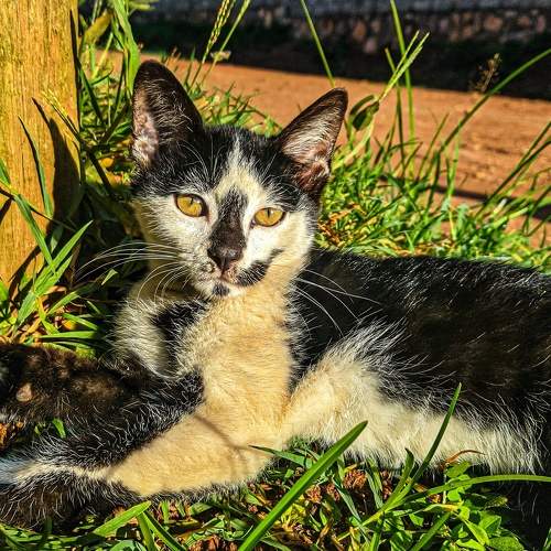 Photo #9193652